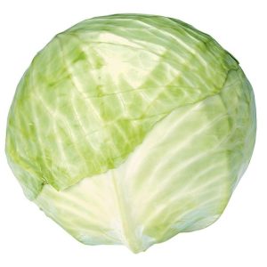 Whole green cabbage on isolated white background Food Picture