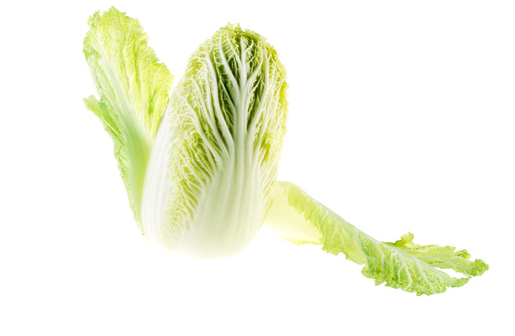 Whole Head of Napa Cabbage Food Picture