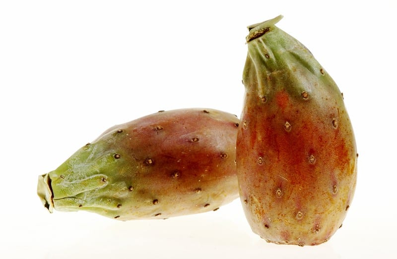 Pair of Opuntia Cactus Pears Standing and Laying Food Picture
