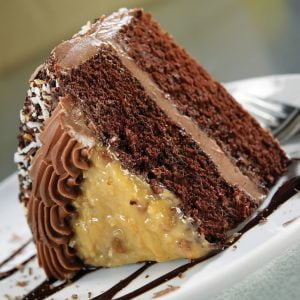 Slice of German Chocolate Cake Food Picture