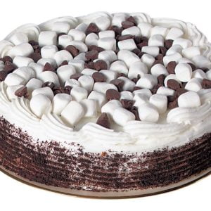 Single Layered Chocolate Cake Food Picture