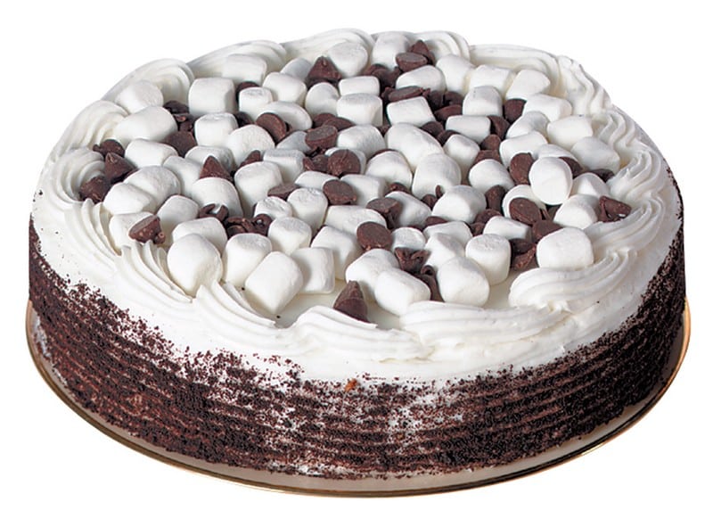 Single Layered Chocolate Cake Food Picture