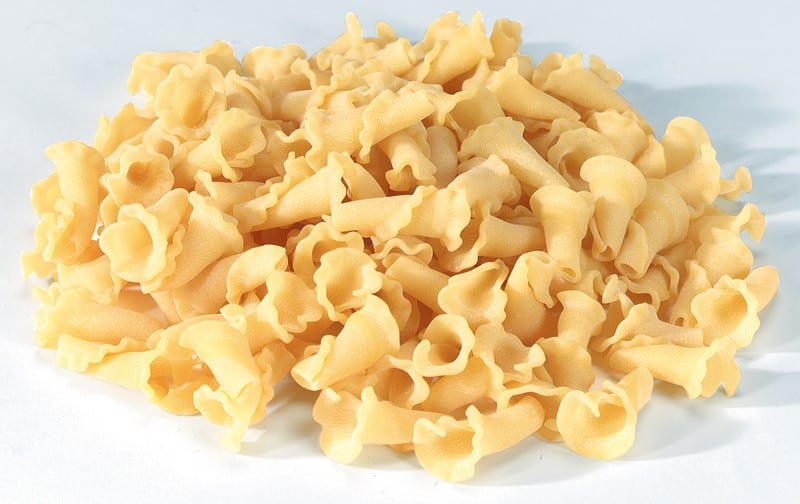 Uncooked Campanelle Food Picture