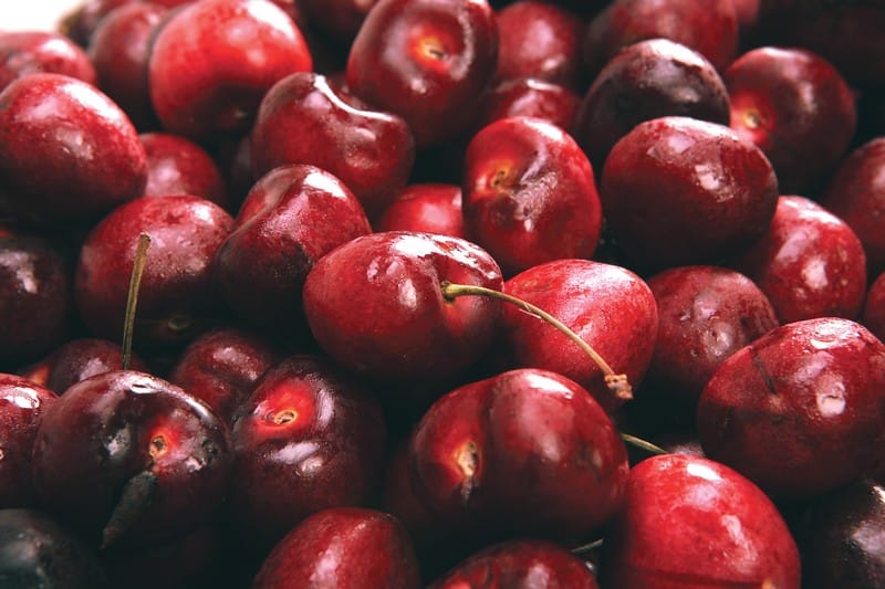 Dark Red Bing Cherries Food Picture