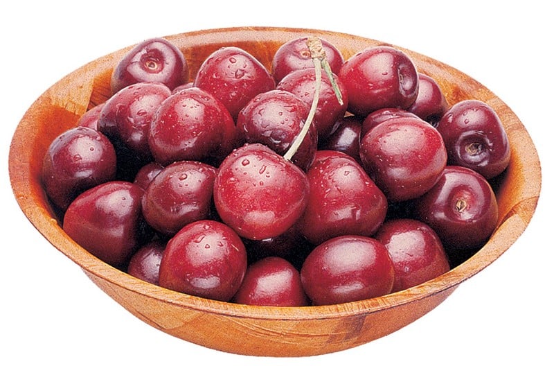 Bowl of Washed Bing Cherries Isolated Food Picture