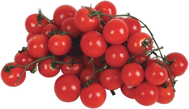 Cherry Tomatoes on Vines Food Picture