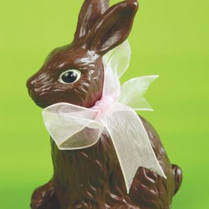 Chocolate Bunny Food Picture
