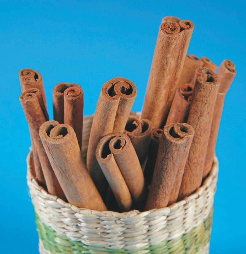 Cinnamon Sticks in Basket on Blue Background Food Picture