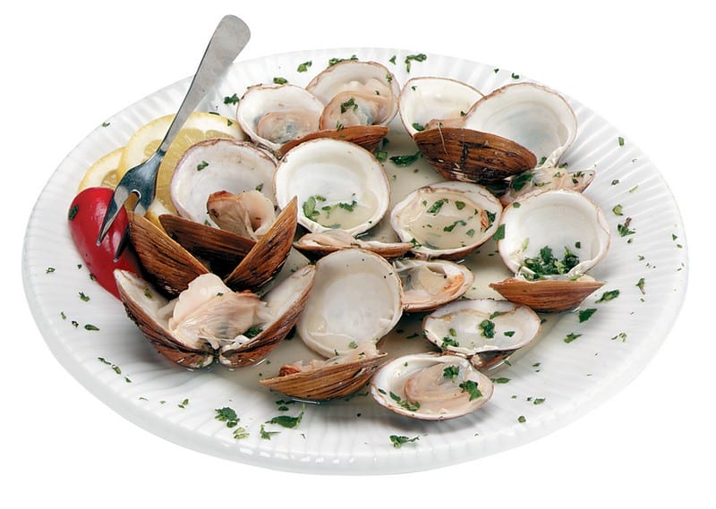 Mahogany Clams With Garnish And Seasoning On White Ridged Plate Food Picture