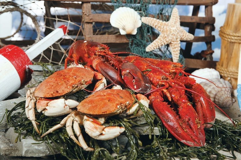 Clambake background New England beach close up Food Picture