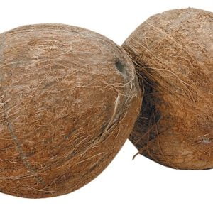 Whole Coconuts Isolated Food Picture