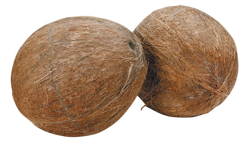 Whole Coconuts Isolated Food Picture