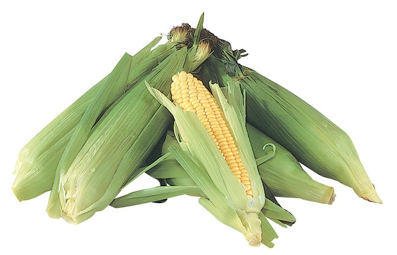 Ear of peeled corn isolated with un-peeled corn and white background Food Picture