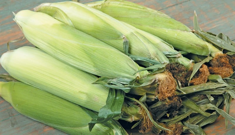 Ears of corn on old wooden surface Food Picture