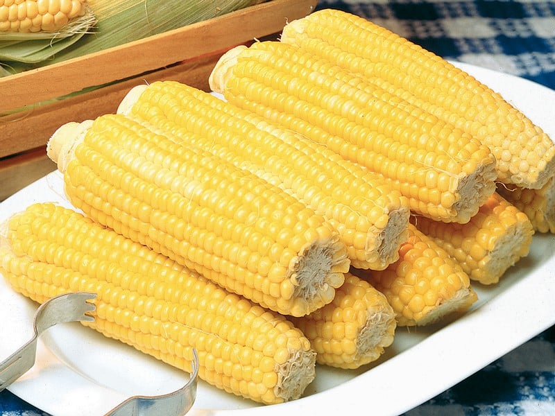 Corn on the cob on a white plate with tongs Food Picture