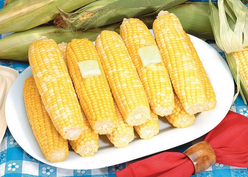 Corn on the cob with butter on a white plate with blue tablecloth and red napkin Food Picture