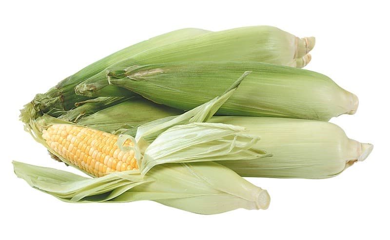 Ears of corn on white background Food Picture