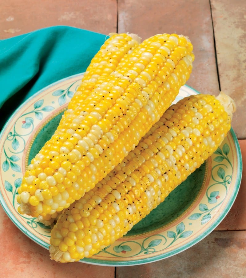 Ears of corn with seasoning on plate with teal napkin Food Picture