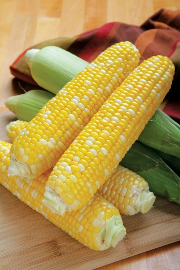 Ears of corn on a wooden surface with a plaid cloth Food Picture