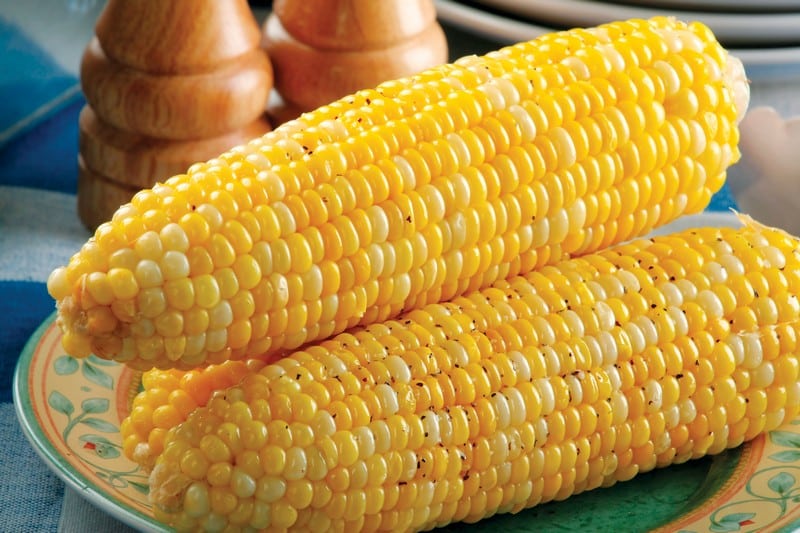 Ears of corn with seasoning on multi-colored plate Food Picture