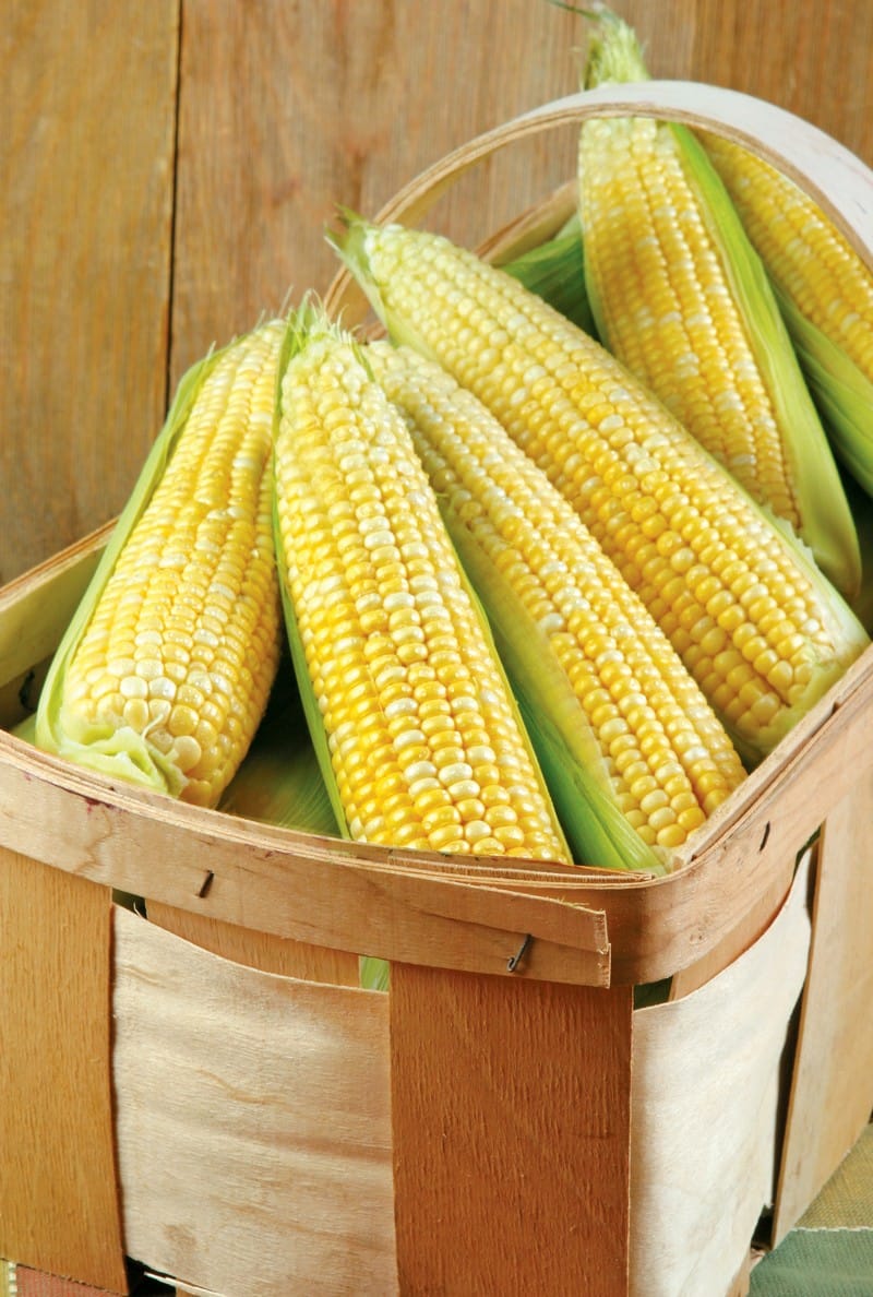 Ears of corn in wooden wicker basket Food Picture