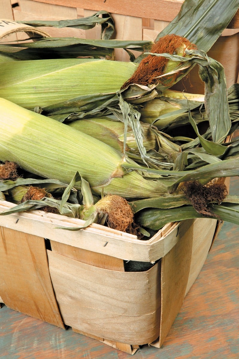 Ears of corn in a wooden basket Food Picture
