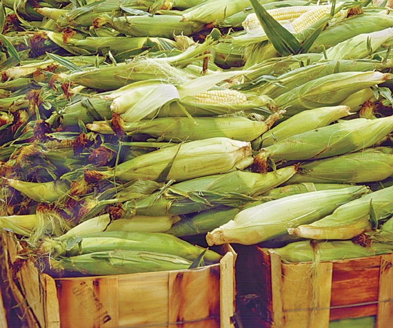 Ears of corn in baskets Food Picture