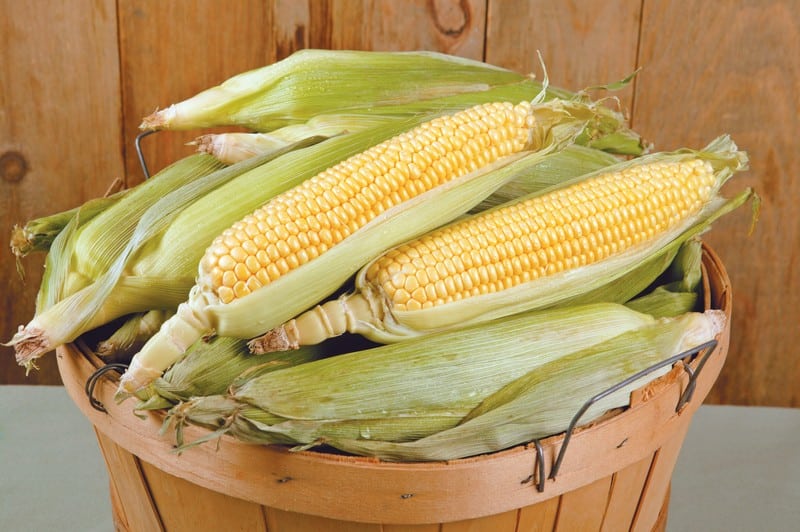 Ears of corn in a wooden basket with a wooden background on a plain surface Food Picture
