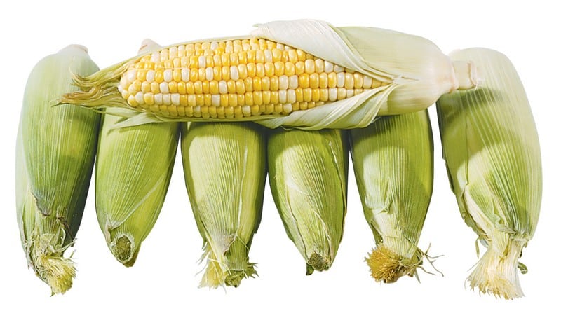 Ears of corn isolated on white background Food Picture