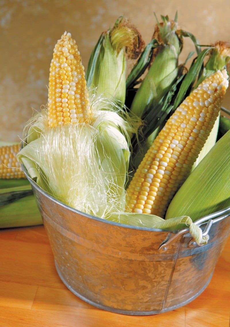 Ears of corn in a silver bin on a wooden surface Food Picture