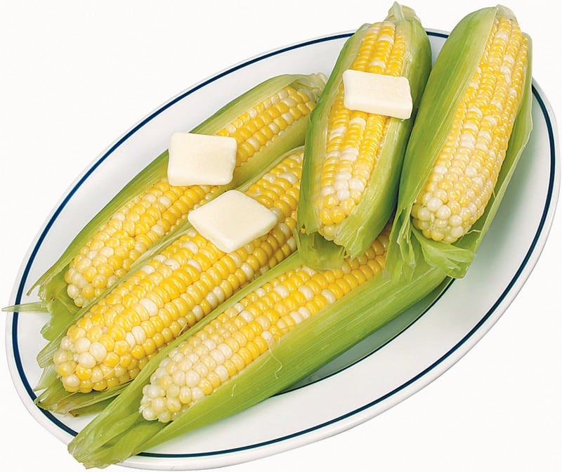 Ears of corn on white and blue plate with butter on white background Food Picture