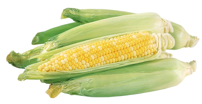 pile of ears of corn on a white background Food Picture