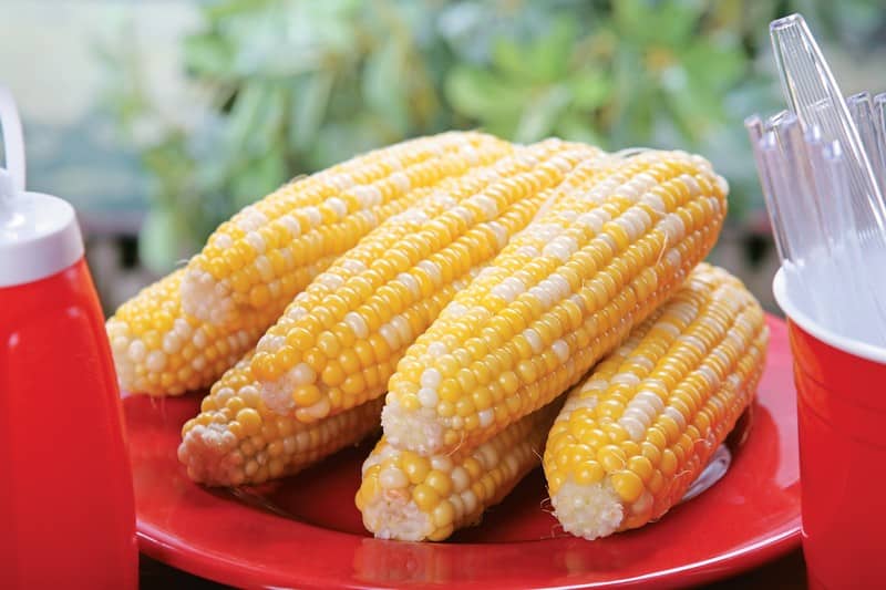 Ears of corn on a red plate Food Picture