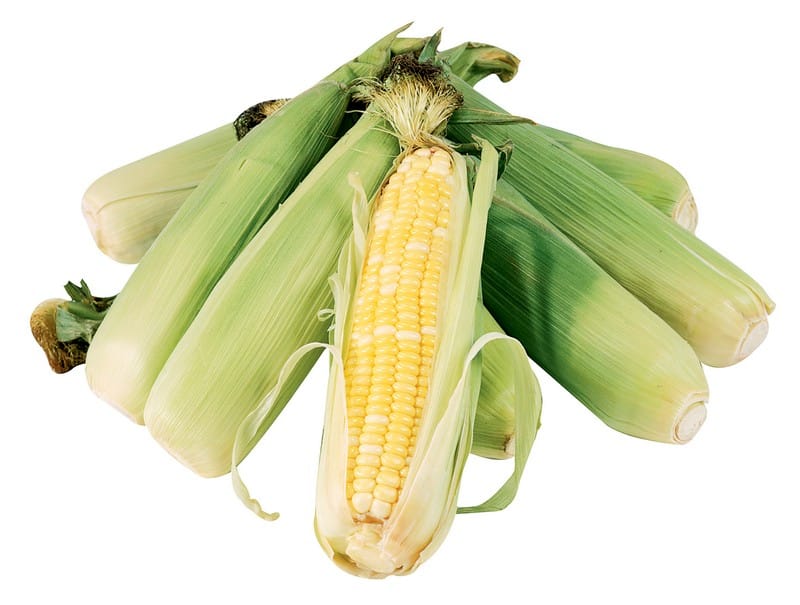 Ears of corn on a white background both peeled and unpeeled Food Picture