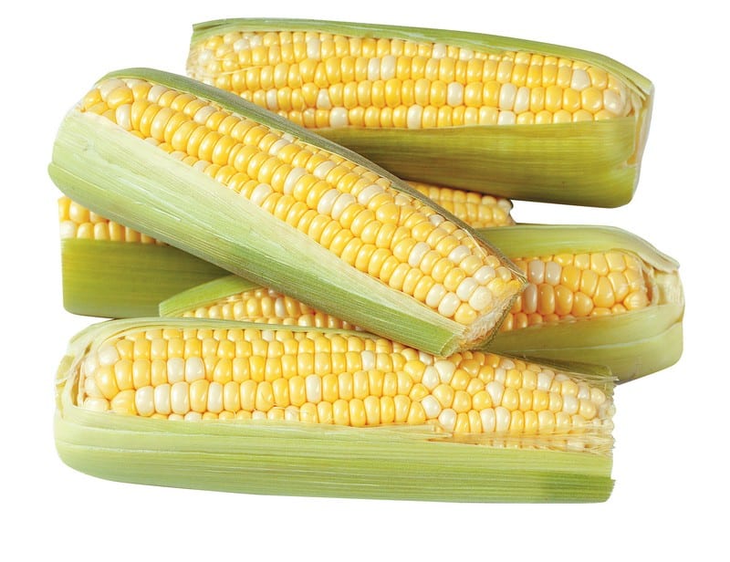 Loose ears of corn half pealed on a white background Food Picture