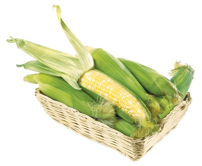 Corn on the cob in small basket on a white background Food Picture