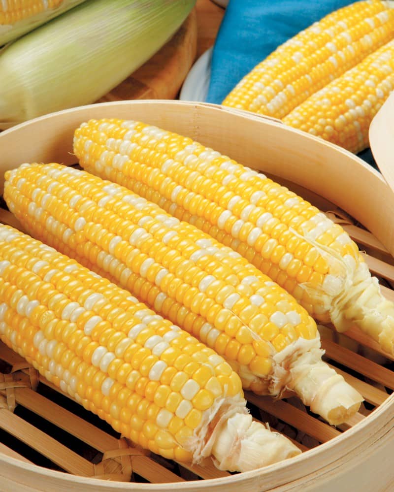 Corn on the cob in wooden steam box Food Picture