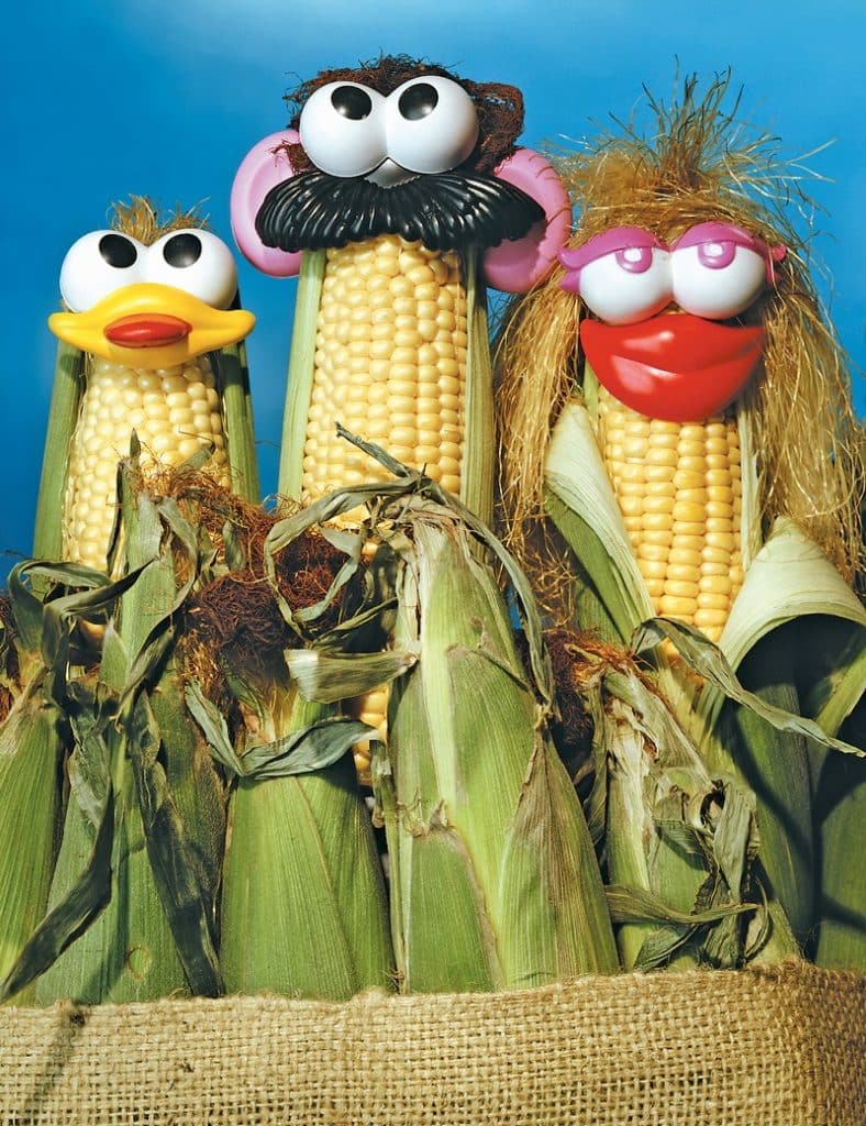 Corn on the cob with eyes and mouths Food Picture