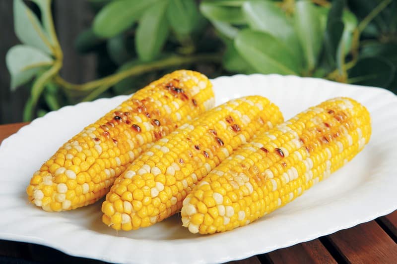 Grilled corn on the cob on white plate on wooden surface Food Picture