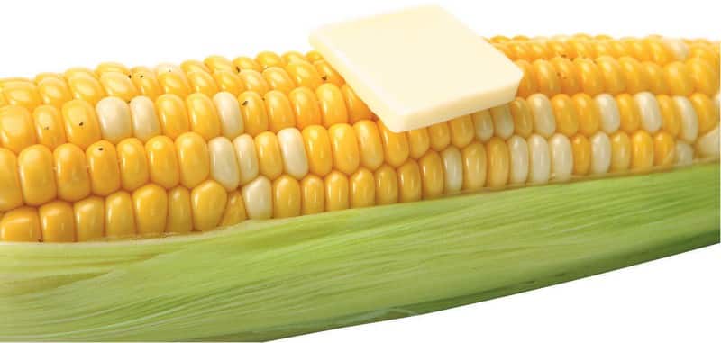 Close Up of Corn on the Cob Food Picture