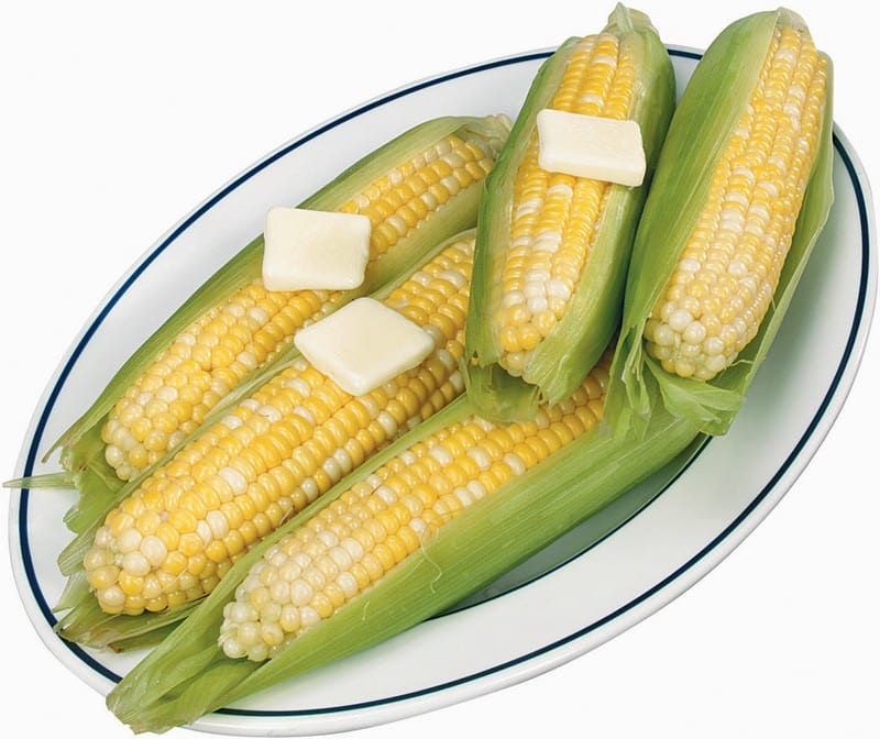 Whole Corn on the Cob on a Plate with Butter Food Picture
