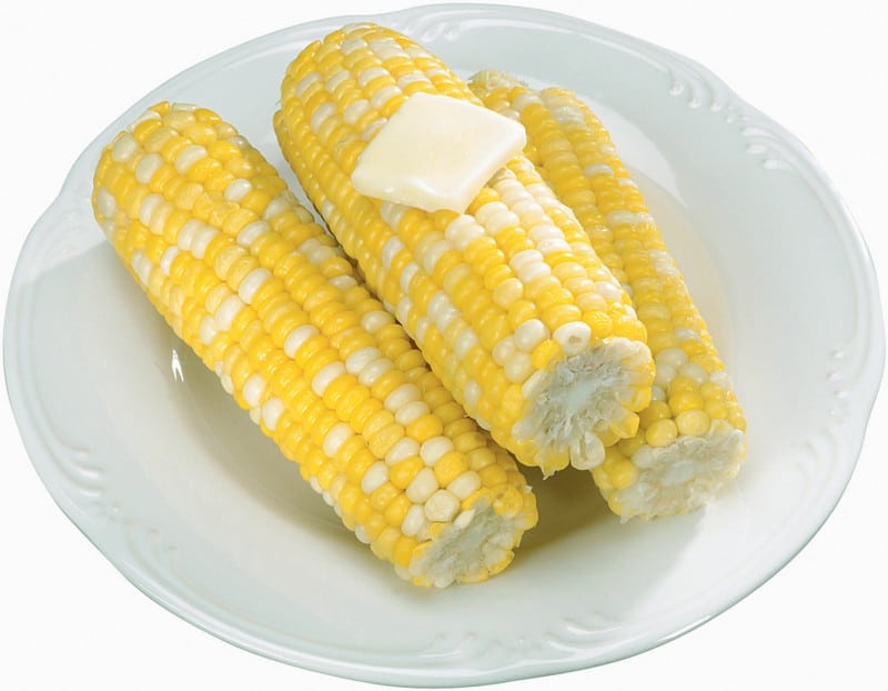 Cooked Corn on the Cob on a Plate with Butter Food Picture