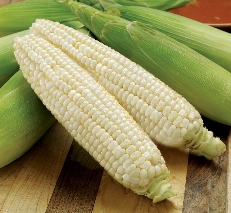 White corn on the cob on wooden surface Food Picture