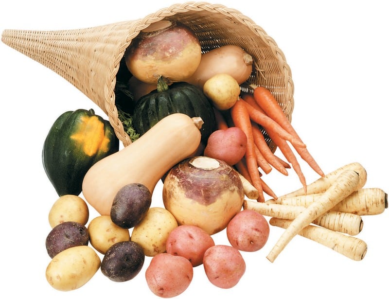 Cornucopia of Vegetables Food Picture