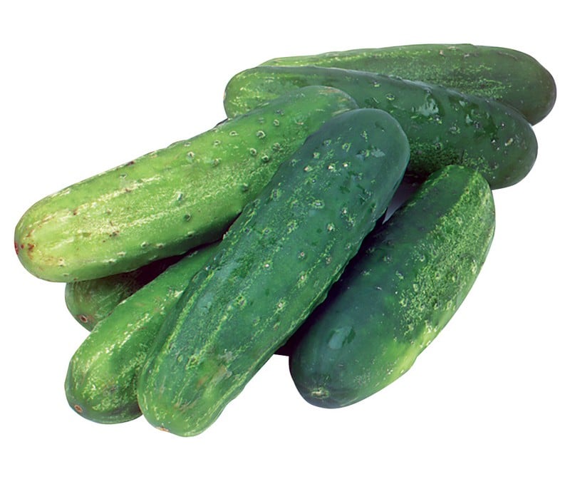 Pickling Cucumbers Isolated Food Picture