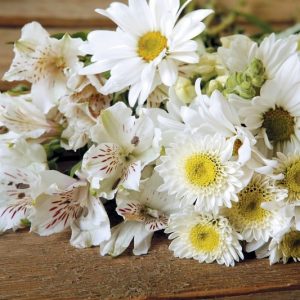 White Flower Assortment on Wooden Surface Food Picture