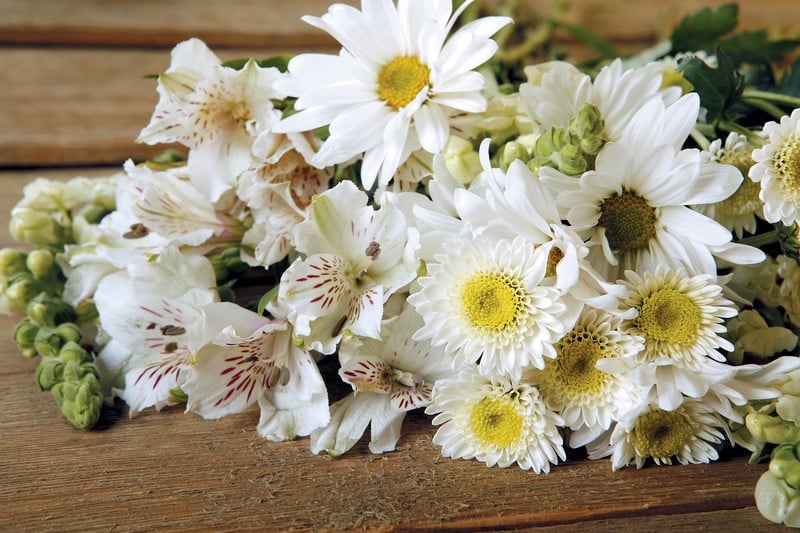 White Flower Assortment on Wooden Surface Food Picture