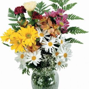 Daisy Arrangements in a Vase Food Picture