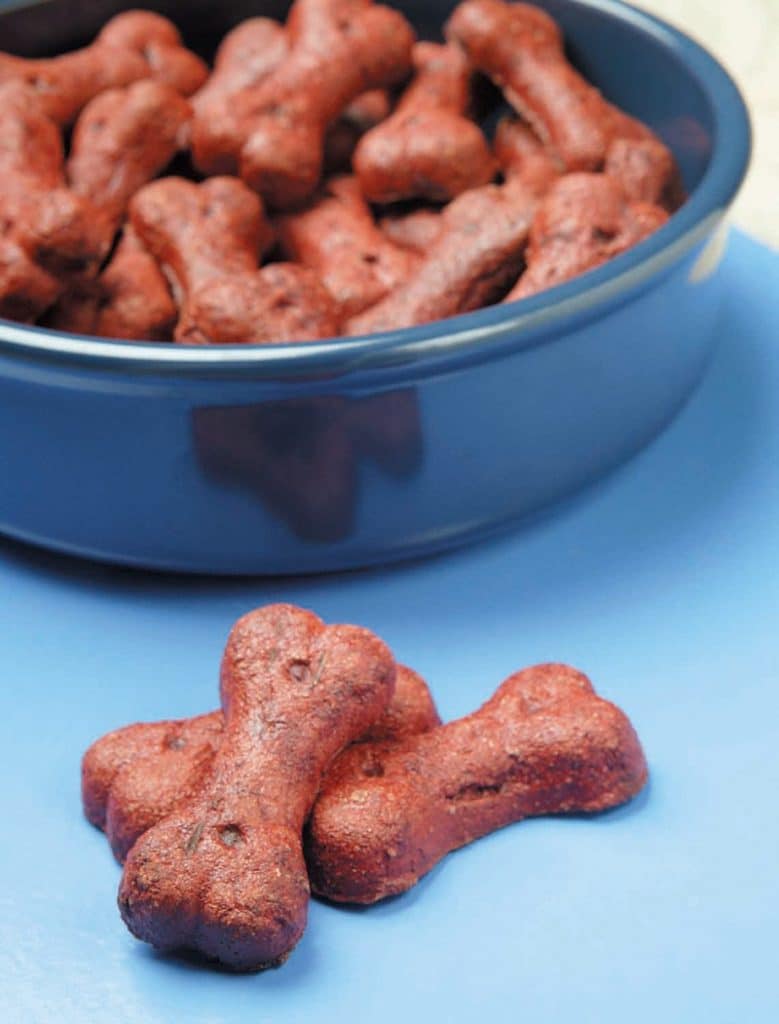 Dog Biscuits in Blue Bowl Food Picture