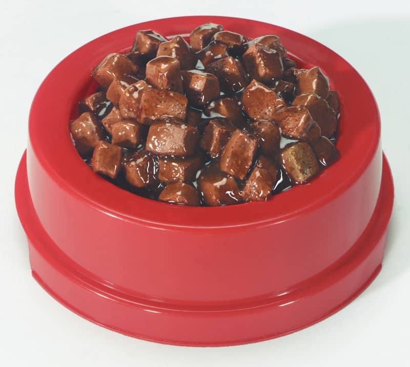 Wet Dog Food Chunks in Red Bowl Food Picture